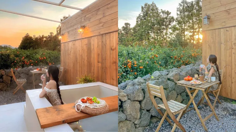 Airbnb Instagramable Jeju Korea
