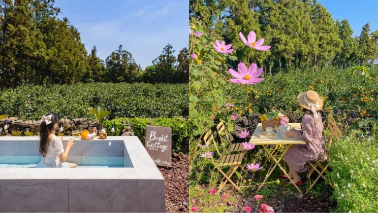 Airbnb Instagramable Jeju Korea