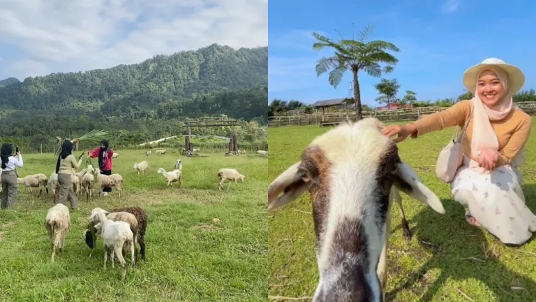 Wisata Keluarga Terbaru Purwokerto - Menggala Ranch