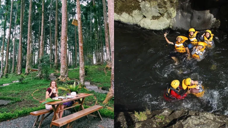 Wisata Keluarga Terbaru Purwokerto - Baturraden Adventure Forest