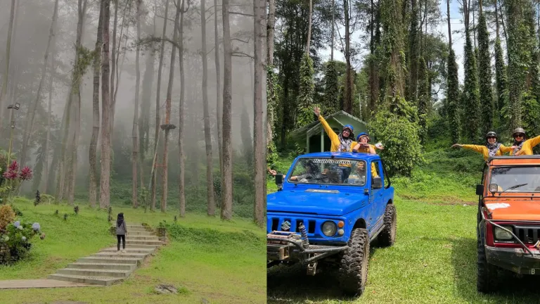 Wisata Keluarga Terbaru Purwokerto - Wana Wisata Baturraden