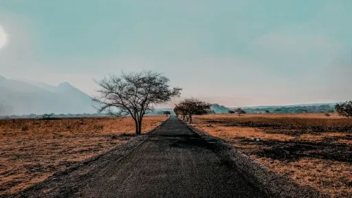 image for article 10 Wisata Seru Bareng Keluarga di Banyuwangi