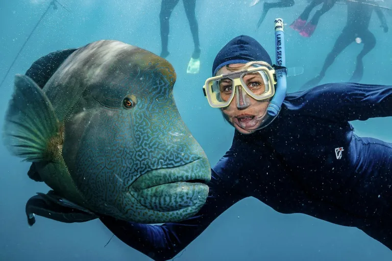 Wisata Cairns Australia - Great Barrier Reef