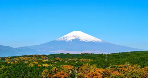 image for article 12 Wisata Shizuoka Jepang Yang Kecantikannya Luar Biasa