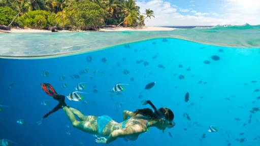 image for article 6 Laut Terbaik di Indonesia: Surga Snorkeling dengan Pemandangan Bawah Laut Menakjubkan!