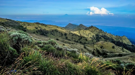 image for article Empat Jalur Pendakian Gunung Rinjani Dibuka Awal Juni 2019