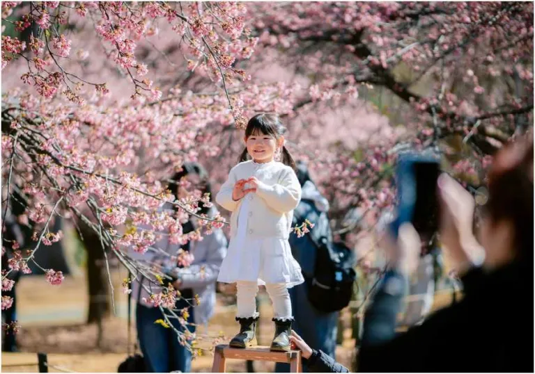 Wisata gratis Di tokyo