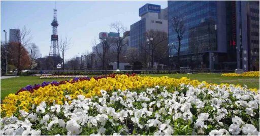 image for article Menjelajah 20 Tempat Wisata Di Sapporo, Hidden Gem Jepang