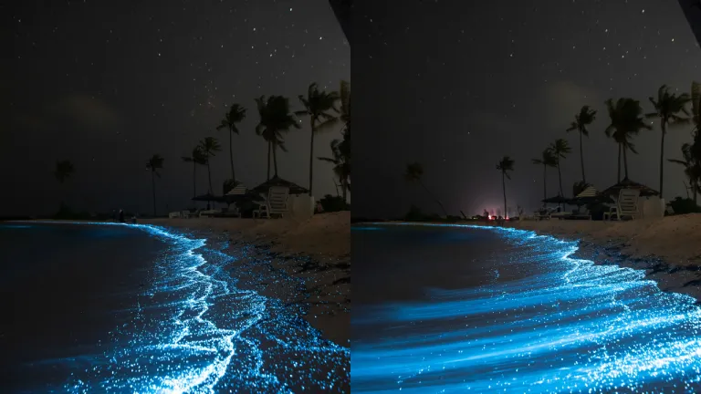 Wisata Maldives - Maldives Glowing Beach