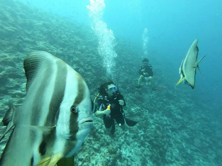 Wisata Maldives - Banana Reef