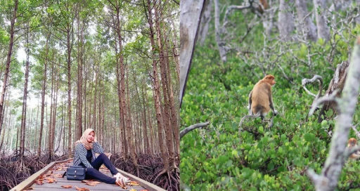 image for article 8 Destinasi Wisata Bontang, Kota Industri yang Indah