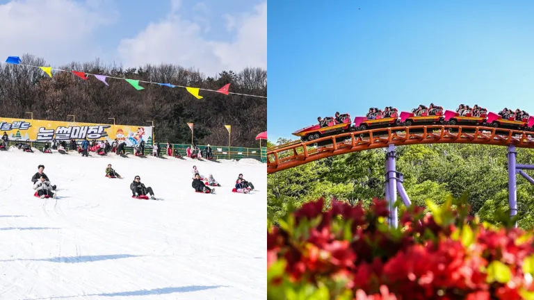Theme Park Seoul Korea Selatan - Seoul Land