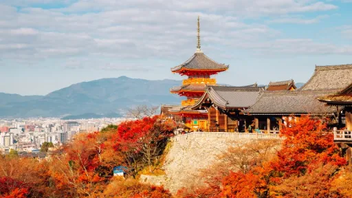 image for article Barang Wajib yang Perlu Kamu Bawa Saat Liburan Musim Panas di Jepang