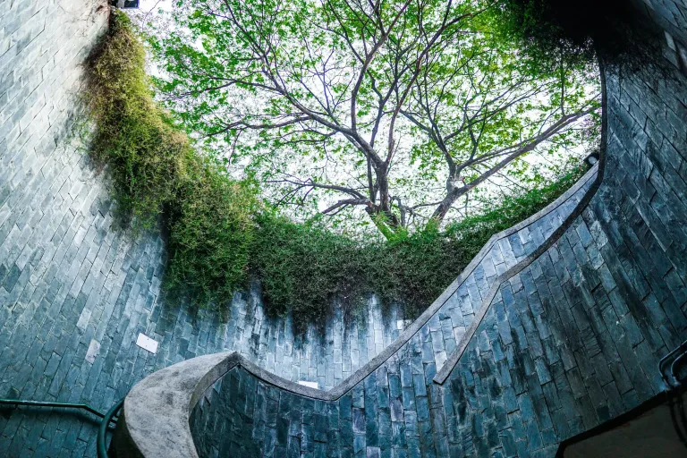 Tempat Piknik Singapura - Fort Canning Park