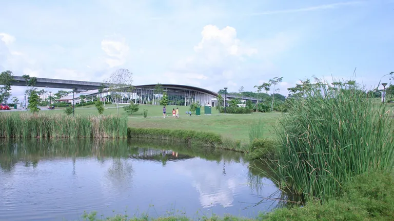 Tempat Piknik Singapura - Sengkang Riverside Park