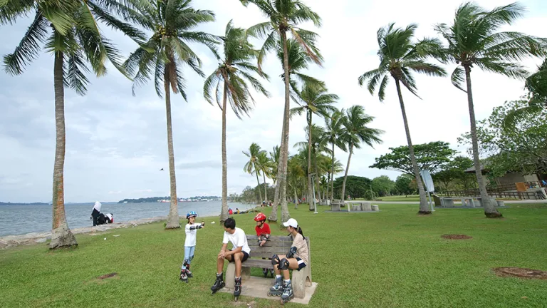 Tempat Piknik Singapura - Pasir Ris Park
