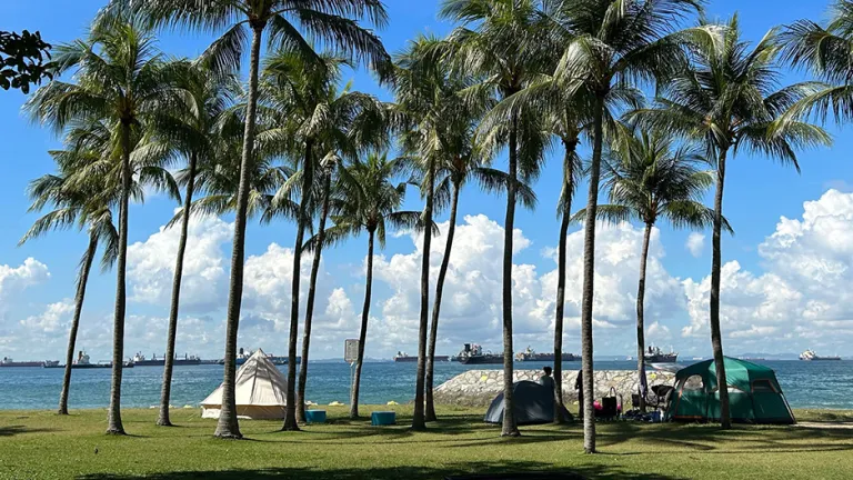Tempat Piknik Singapura - East Coast Park