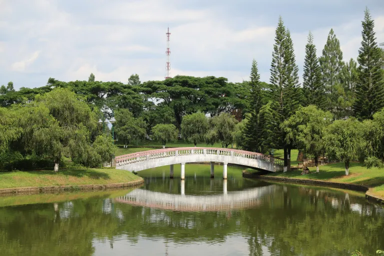 Tempat Piknik Singapura - Bishan-Ang Mo Kio Park