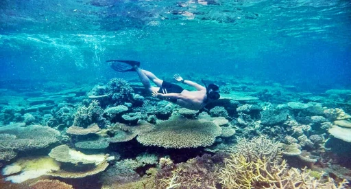 image for article Wisata Di Kepulauan Togean, 6 Aktivitas untuk Pengalaman Tidak Terlupakan