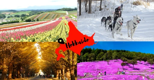 image for article Liburan Ke Hokkaido Dalam Empat Musim Untuk Pengalaman Yang Tidak Terlupakan