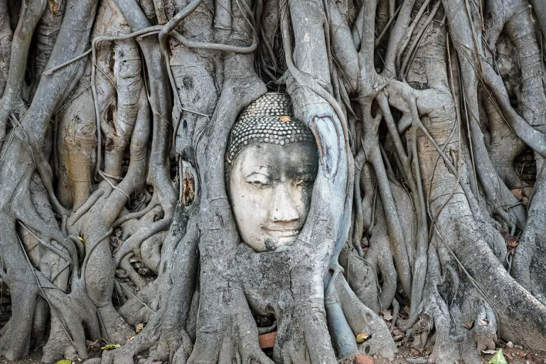 Wisata Ayutthaya Thailand - Wat Mahathat