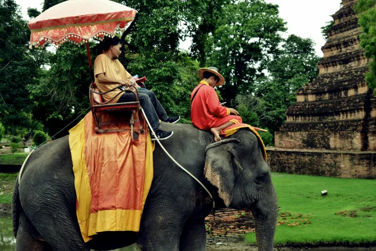 Wisata Ayutthaya Thailand - Ayutthaya Elephant Palace &amp; Royal Kraal