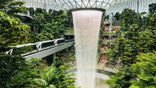 image for article Mulai Agustus 2025, Transit di Bandara Changi Bisa Dapat Tour Gratis ke Sentosa