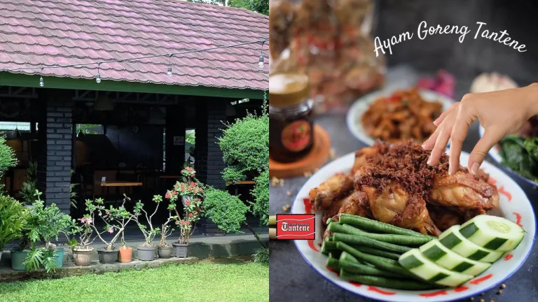 Kuliner Legendaris Purwokerto - Ayam Goreng Tantene