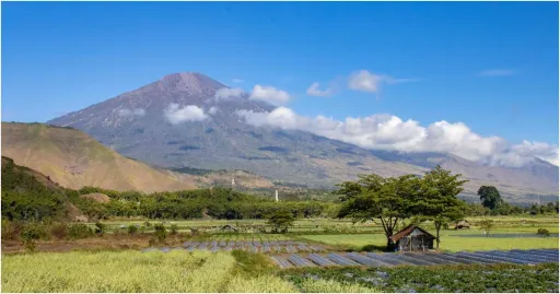 image for article Panduan Mendaki Gunung Rinjani Yang Harus Kamu Tahu