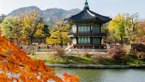 image for article Tips Liburan Musim Gugur di Korea Selatan Untuk Pertama Kali 
