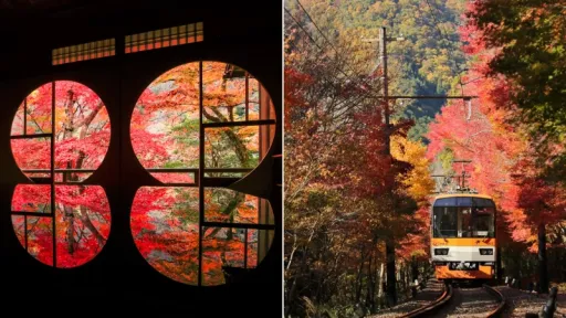 image for article Saksikan Kecantikan Musim Gugur, Kunjungi 10 Tempat Ini di Kyoto