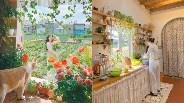 Airbnb Instagramable di Dalat, Vietnam