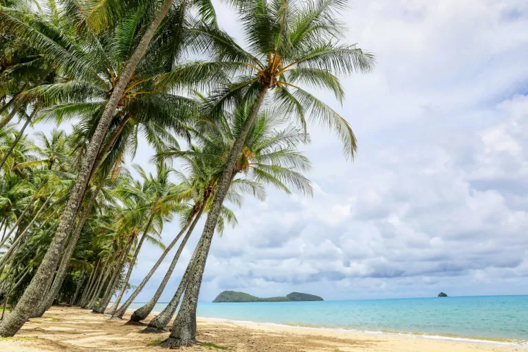 Wisata Cairns Australia - Palm Cove Beach