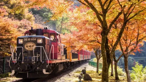 image for article Panduan Liburan Naik Sagano Romantic Train, Kereta Wisata Paling Cantik di Kyoto
