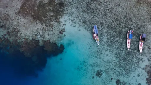 image for article Panduan Lengkap Liburan ke Karimunjawa, Surga Tropis di Tengah Jawa