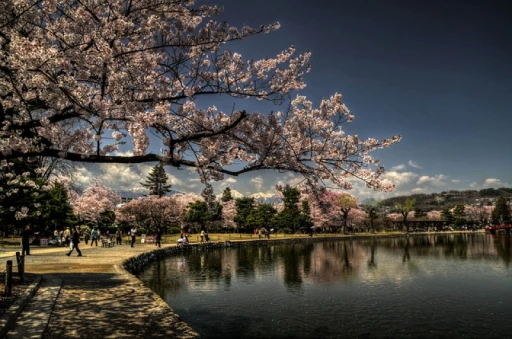 image for article Prediksi Jadwal Sakura Jepang 2019: Kapan dan Di Mana