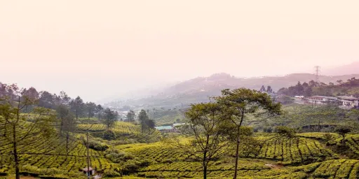 image for article Trekking Sentul, Rute Yang Menarik Dan Persiapan Yang Harus Dilakukan