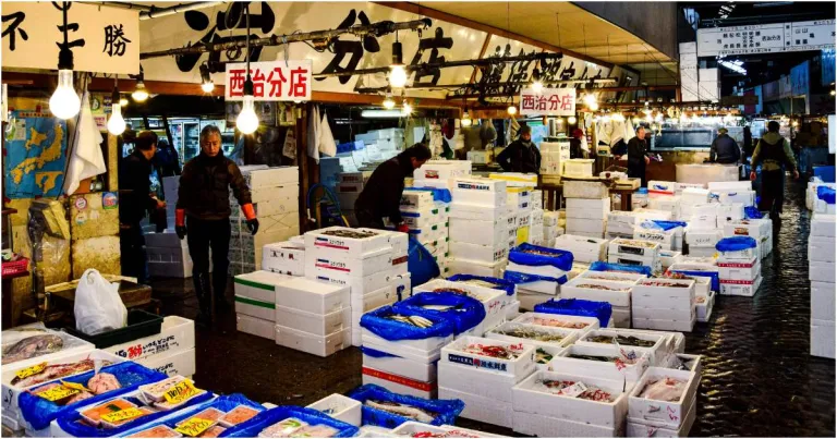 Tsukiji Outer Market - Tempat Wisata Di Ginza