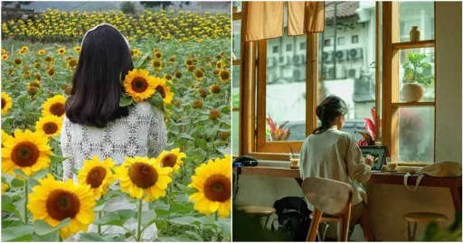 image for article 11 Cafe Bandung Dengan Inspirasi Ala Ghibli