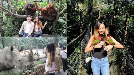 image for article 6 Alasan Kamu Harus Liburan Keluarga Ke Taman Margasatwa Di Singapura, Satu Dari Tiga Kebun Binatang Terbaik Di Dunia!