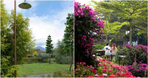 image for article 7 Cafe Di Lembang Yang Pet Friendly Untuk Bonding Dengan Anabulmu