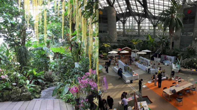 Lokasi Syuting Alice in Borderland - Sakuya Konohana Kan