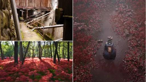 image for article Kanayama, Gifu, Inspirasi Latar Game Horor Silent Hill f
