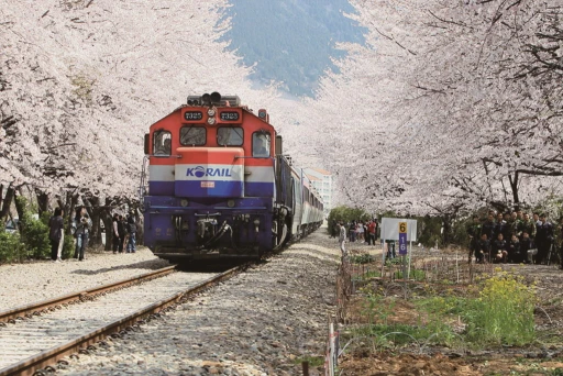 image for article Panduan Membeli Dan Menggunakan Korea Rail Pass Untuk Liburan Ke Korea Selatan