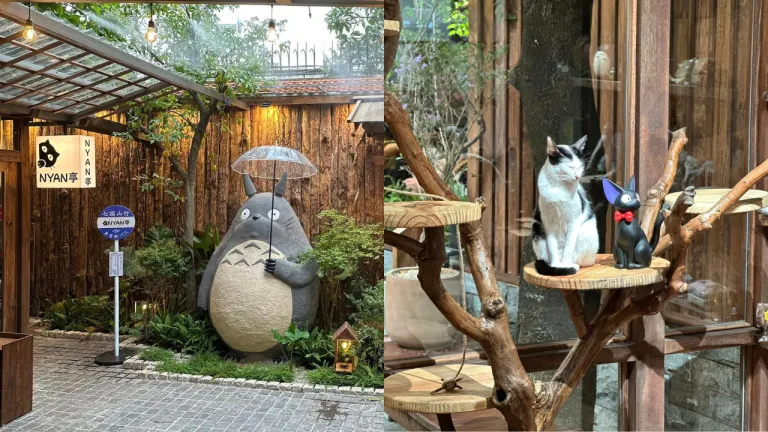 Cafe Ghibli Ho Chi Minh - Nyan Tei - Cat Cafe