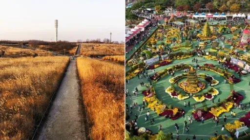image for article Jadwal Festival dan Acara Terbaik di Korea Selatan Bulan Oktober 2025
