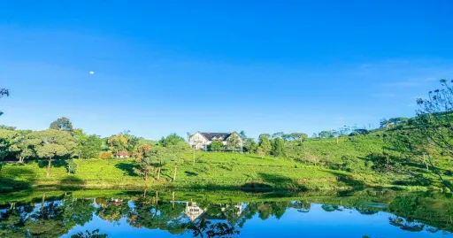 image for article 10 Penginapan Yang Menyatu Dengan Alam di Pangalengan