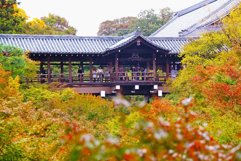 Tempat Wisata Musim Gugur Jepang - Tofukuji Temple