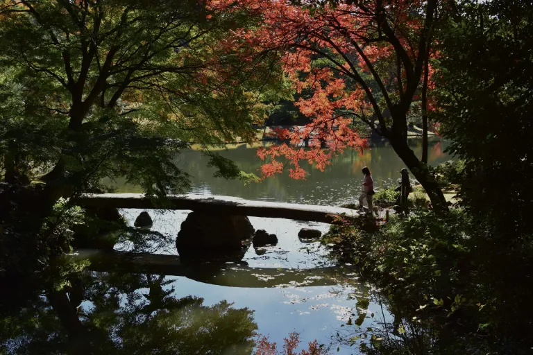 Tempat Wisata Musim Gugur Jepang - Rikugien Garden