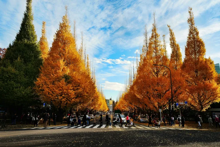 Tempat Wisata Musim Gugur Jepang - Meiji Jingu Gaien Park